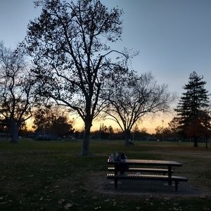 Meet your Posher, Ari